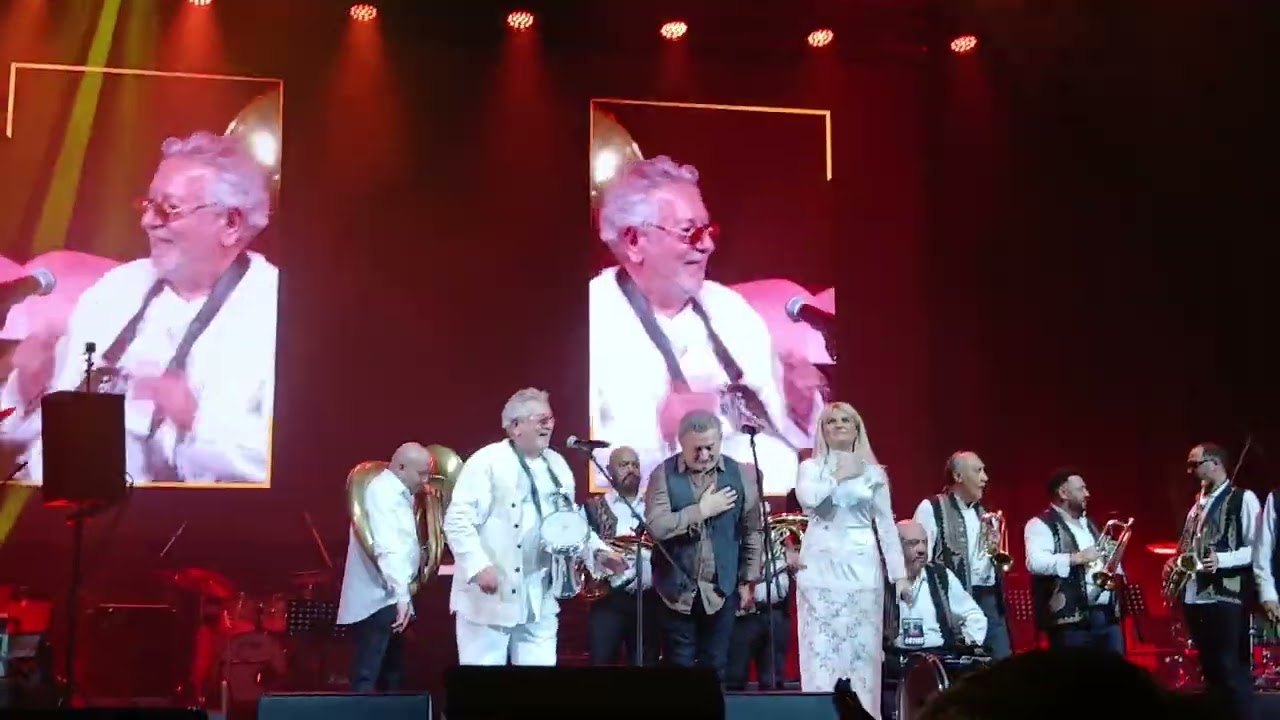OVIDIU LIPAN ȚĂNDĂRICĂ, STELU ENACHE și invitații lui, la concert,la Sala Palatului, ian. 2026   