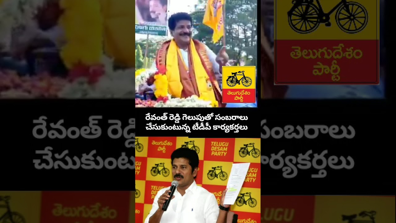 Revanth Reddy Mass Celebration in TDP 🔥 Revanth Reddy's victory celebrations 💛 #Shorts