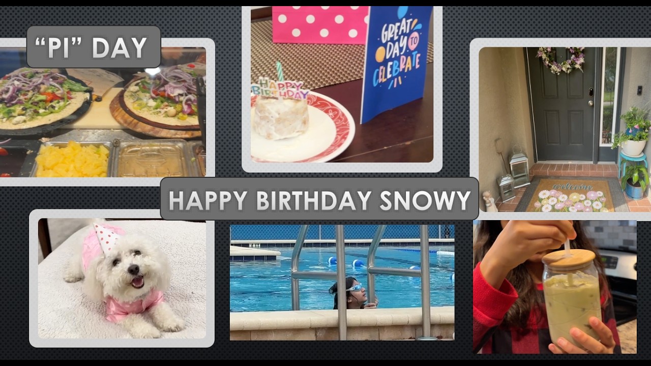 Happy Birthday Snowy || Celebrating 