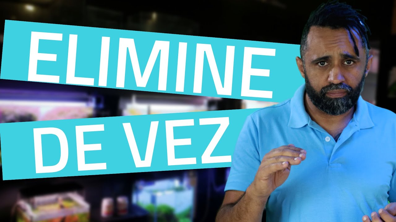 APRENDA a eliminar de uma vez as CIANOBACT&Eacute;RIAS do seu aqu&aacute;rio