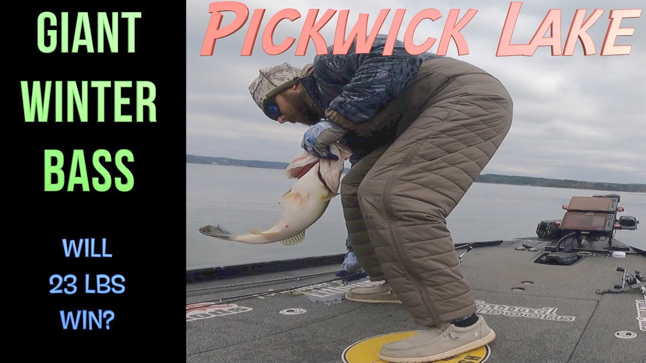 Pickwick Winter Bass Trail Ep:4