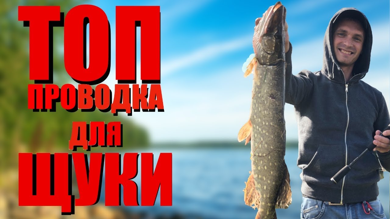 👍 ТОПова ПРОВОДКА в РИБАЛЦІ на ЩУКУ!👍 Файна Рибалка І Назар Гарматюк