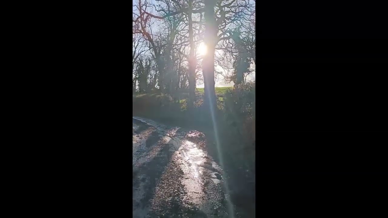 Out for a walk Nov 25