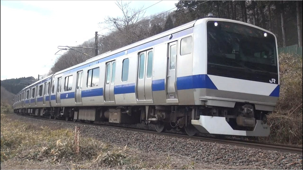 東北本線 白坂カーブ Ｅ５３１系Ｋ５５３編成 ＫＹ入場通過 2026.02.13