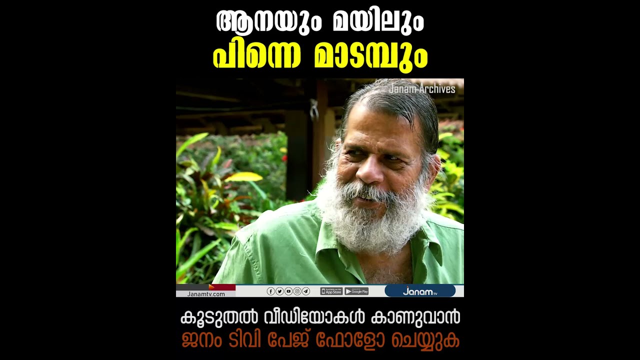 ആനയും, മയിലും, പിന്നെ മാടമ്പും... | മാടമ്പ് കുഞ്ഞുകുട്ടൻ | MADAMPU KUNJUKUTTAN | JANAM ARCHIVES