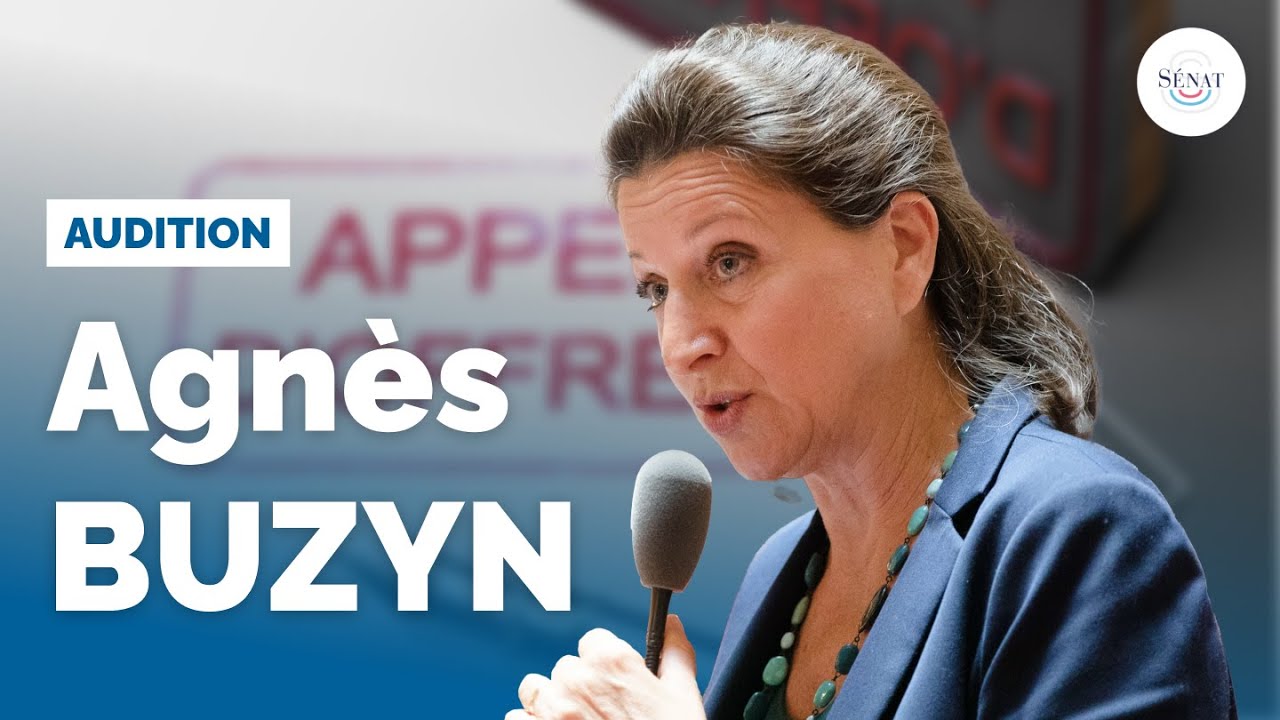 Commande publique : audition d'Agnès Buzyn