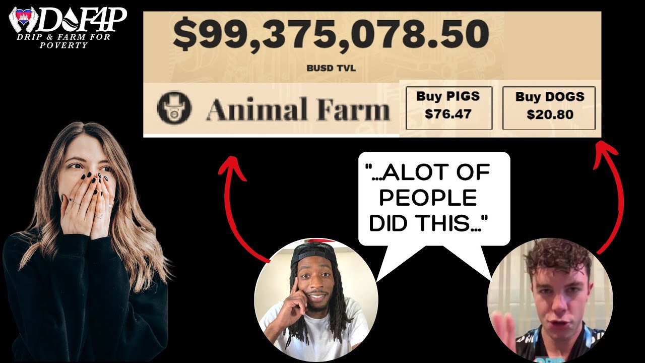 Drip Network Animal Farm Crypto Kingz and Mike the Investor