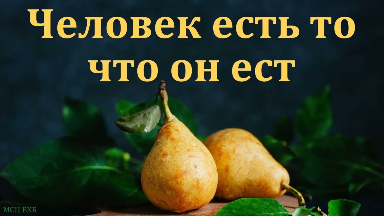 Человек есть то, что он ест. Ю. В. Свиридченко. МСЦ ЕХБ