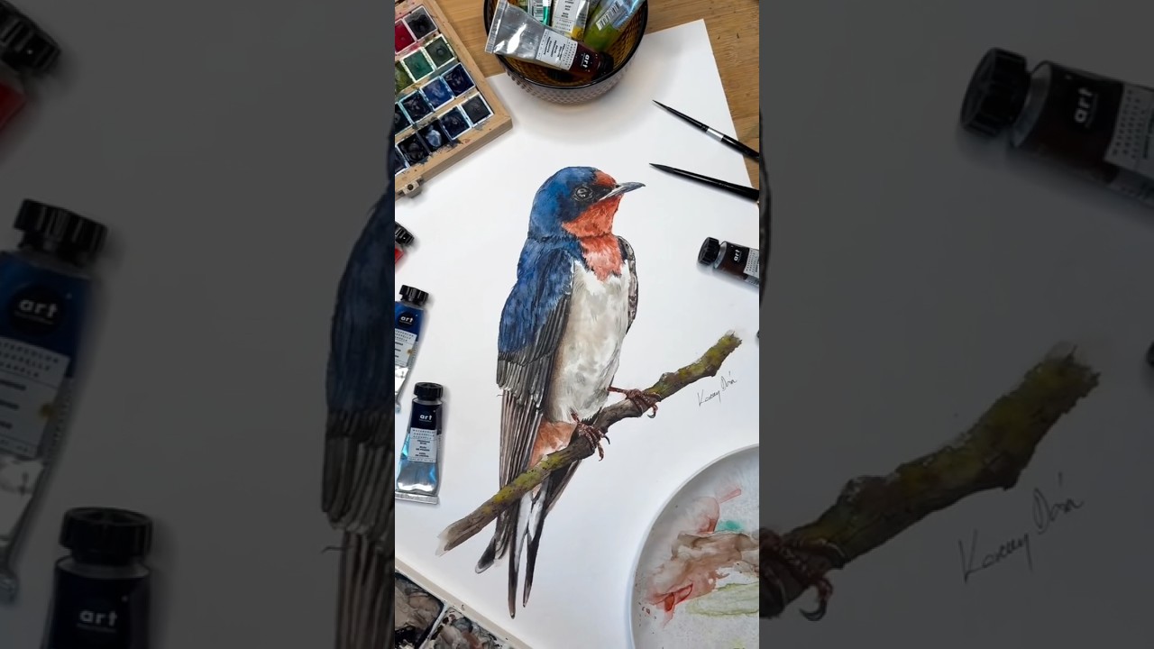 A Quick Watercolor Barn Swallow Painting|  Bird Art Idea | Realistic Watercolor #painting #art