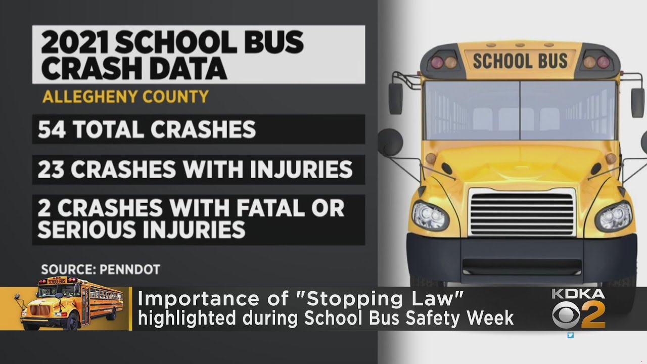 Experts share tips for National School Bus Safety Week