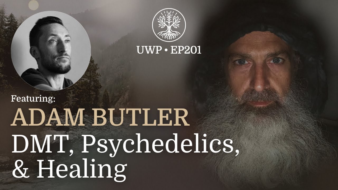DMT, Psychedelics, & Healing - Adam Butler