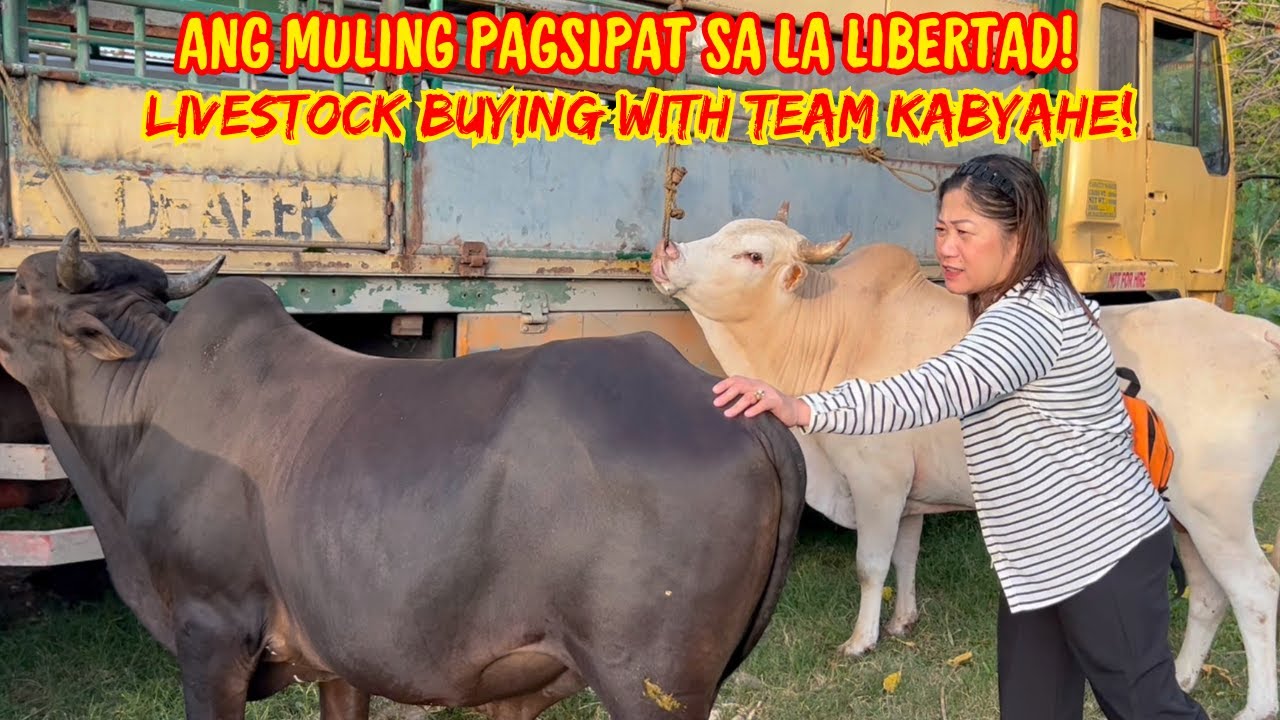 ANG MULING PAGSIPAT SA LA LIBERTAD! | LIVESTOCK BUYING WITH TEAM KABYAHE! | SOLLE'S GANDANG BUHAY