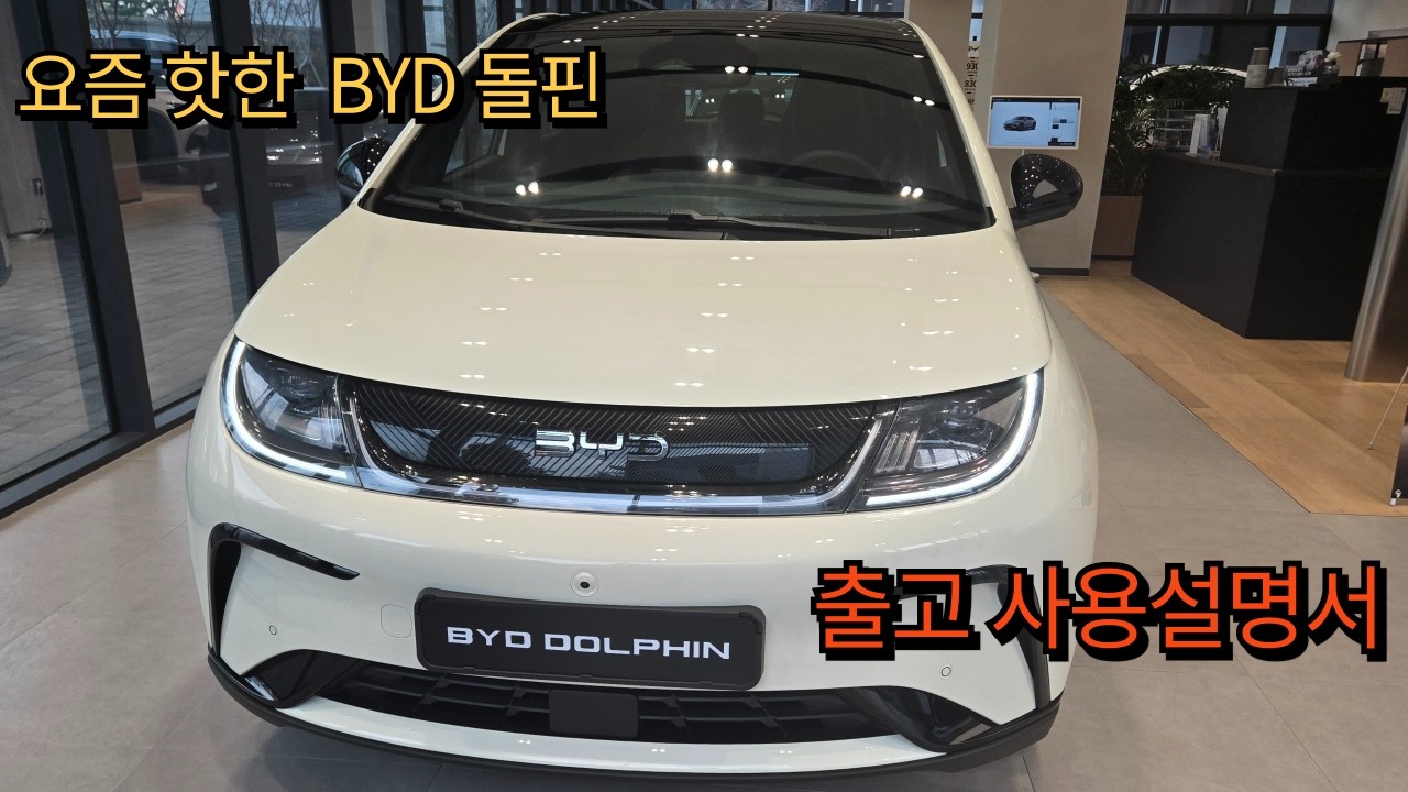 BYD 돌핀 출고 설명서 #BYD #BYD돌핀 #byd씨라이언7 #byd아토3 #byd씰 #전기차