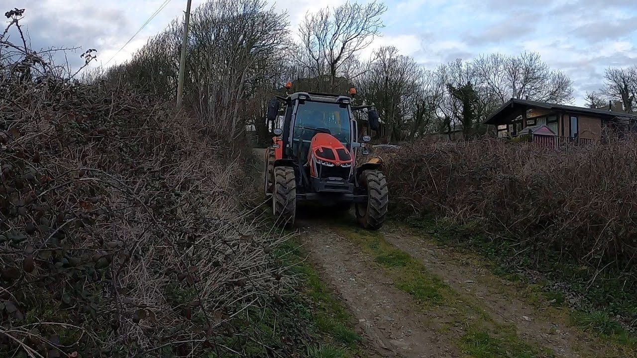 Last of the hedge trimming for this season.