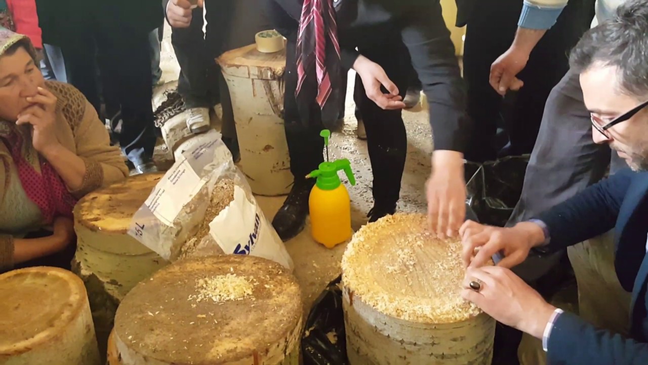 Yatay Kesim Kütükte Mantar Uygulamasi( SİBEL GÜNDOĞDU)