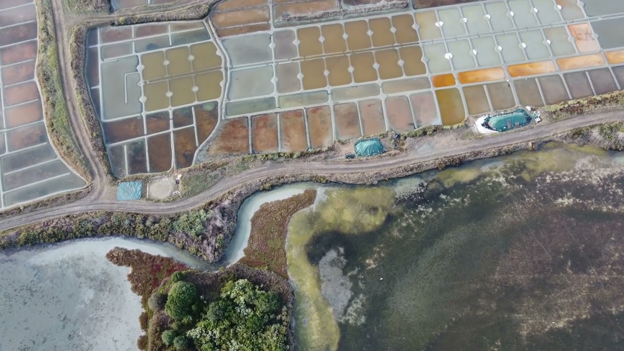 Guerande