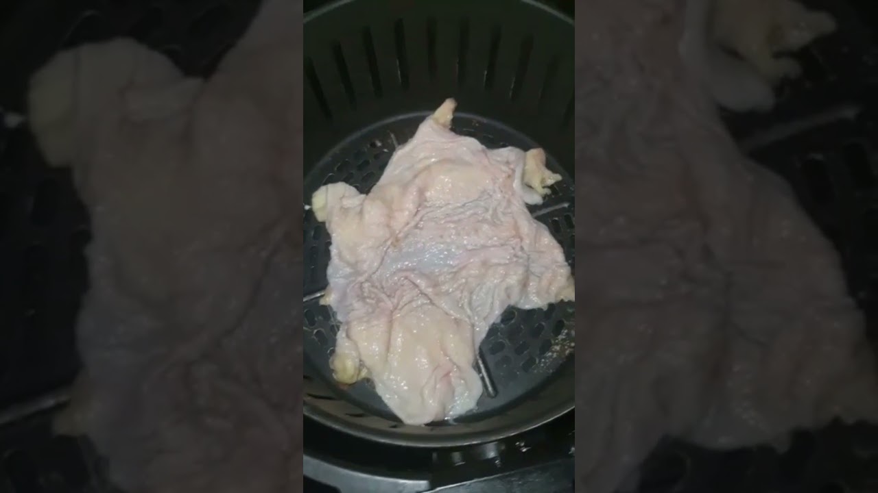 Como Fazer PELE De GAlINHA NA AIRFRYER 🥣