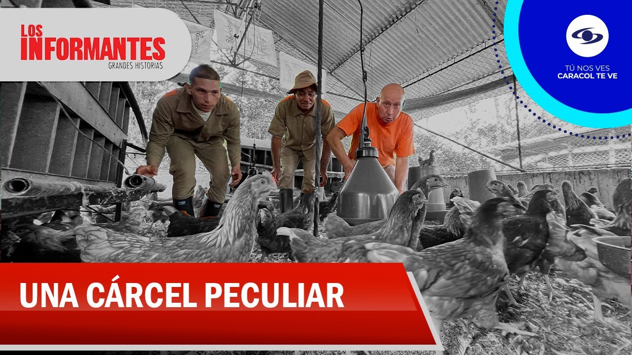 El efecto llanero en el mundo carcelario: así es la mejor prisión de Colombia - Los Informantes