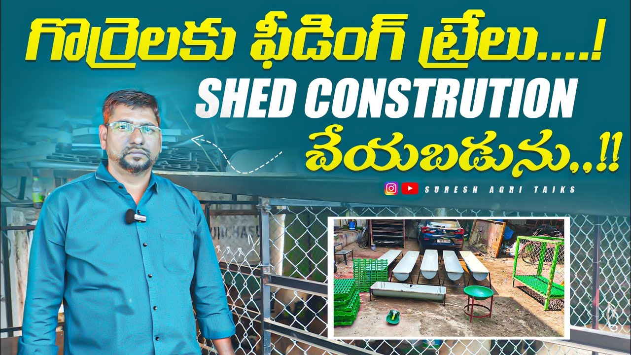 #shed గొర్రెలకు ఫీడింగ్ టబ్బులు, షెడ్ నిర్మాణం చేయబడును!!#sheep #viralvideo #dairy