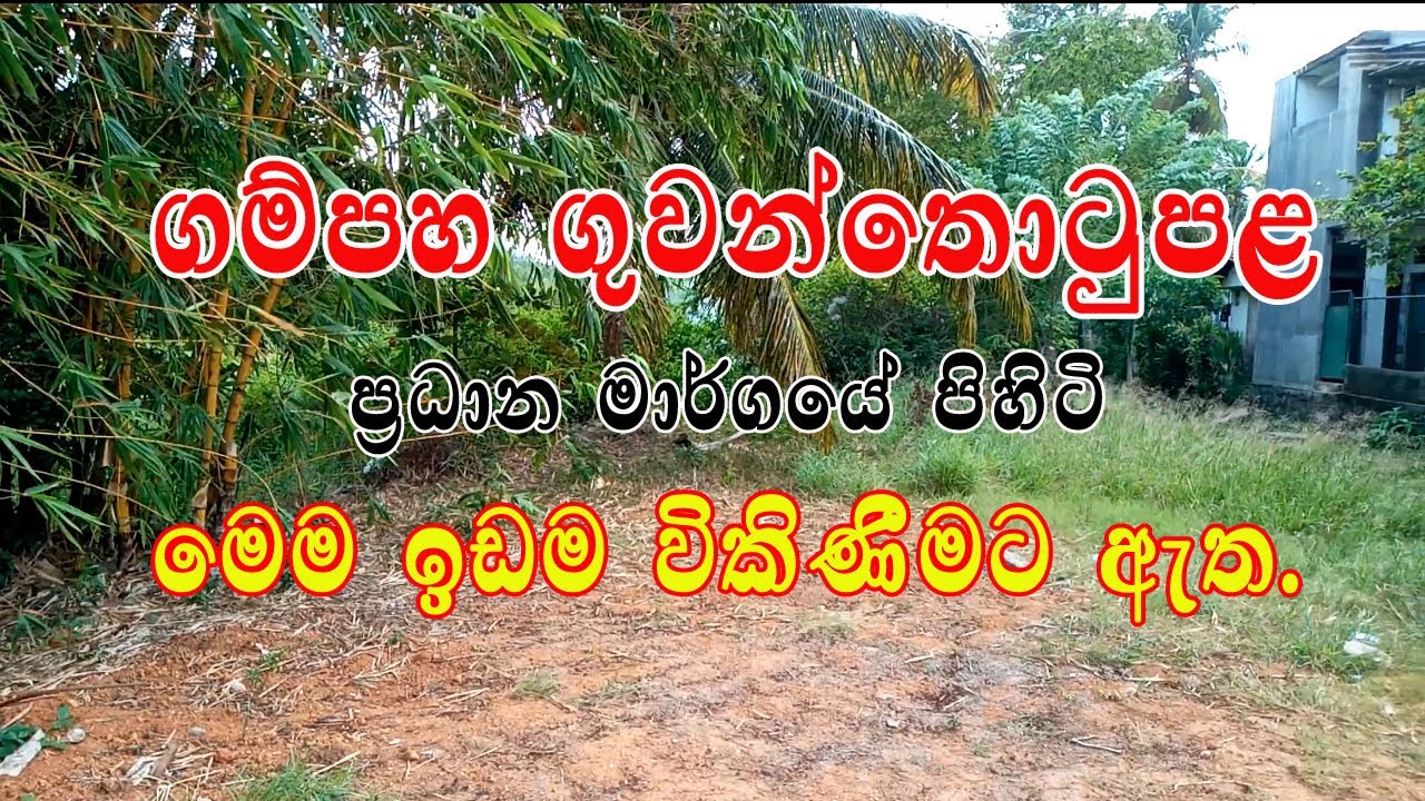 Land sale in Sri Lanka | Land sale in Gampaha District | Land Sale in Katunayake