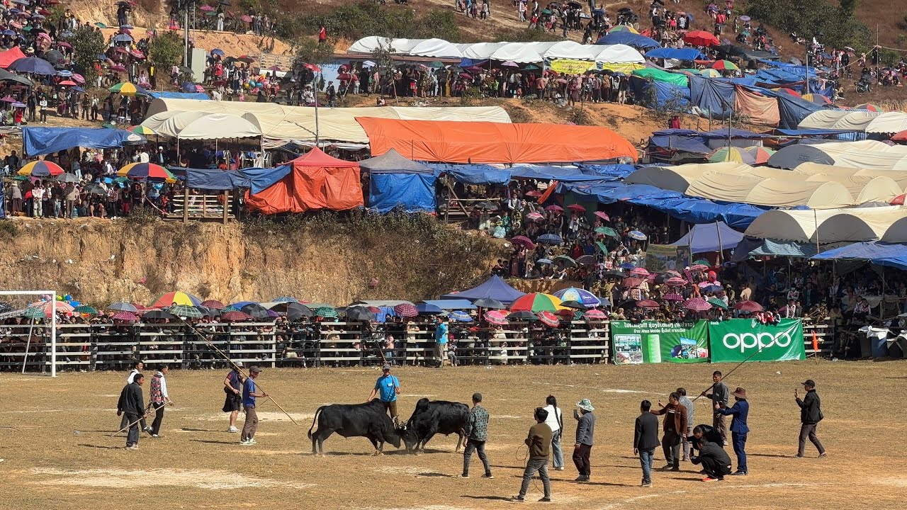 Xieng Khouang Hmong New Year 2026 (12-22-2025) Day 3