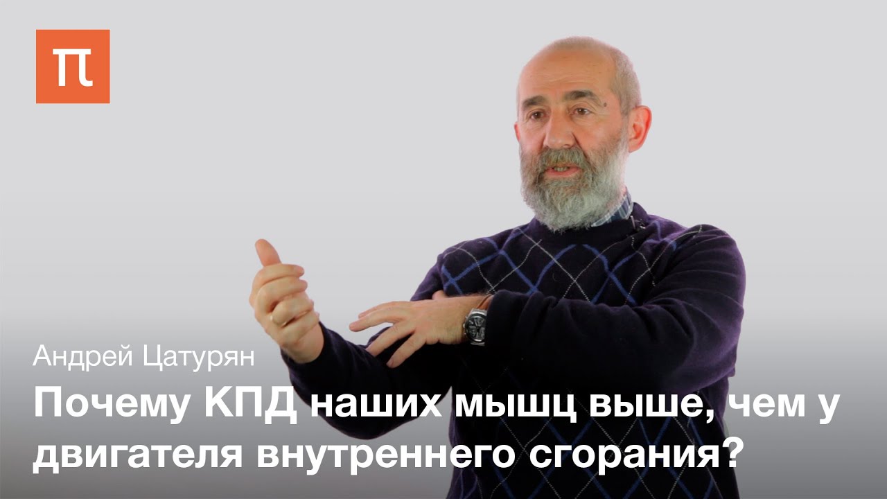 Мышечная биомеханика — Андрей Цатурян