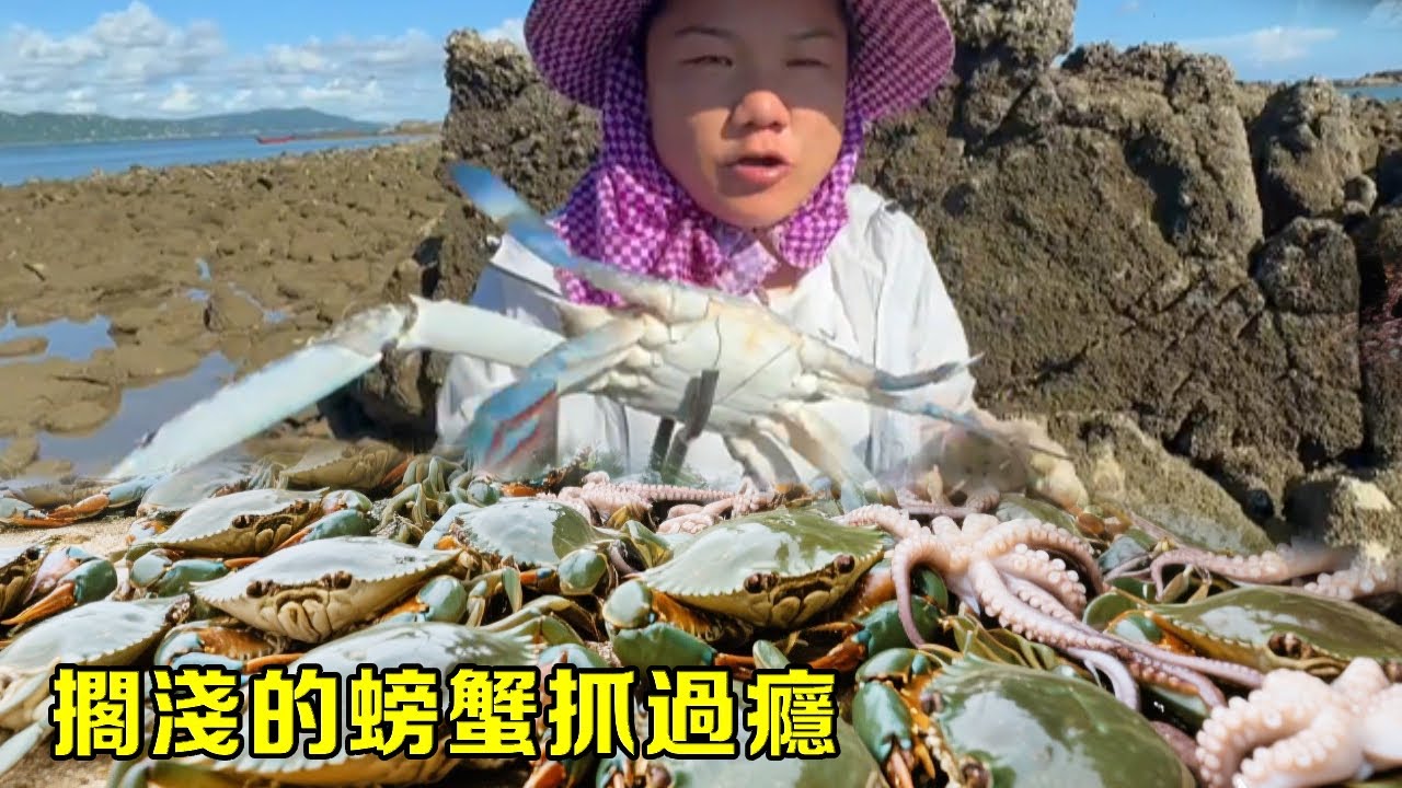 小漁無人島趕海運氣爆棚，大青口遍地，擱淺的螃蟹抓過癮【漁小仙】