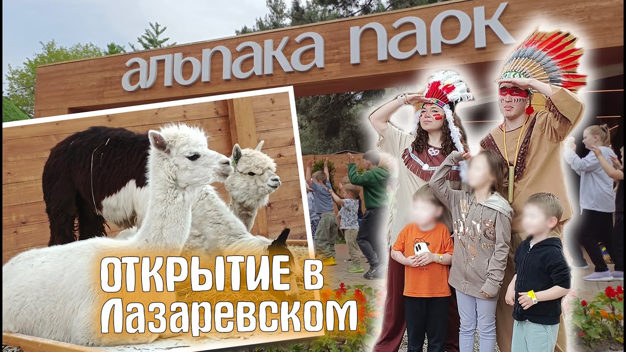 Альпака Парк - открытие. Лазаревский парк культуры и отдыха  Цены Весёлые конкурсы Лазаревское 2025