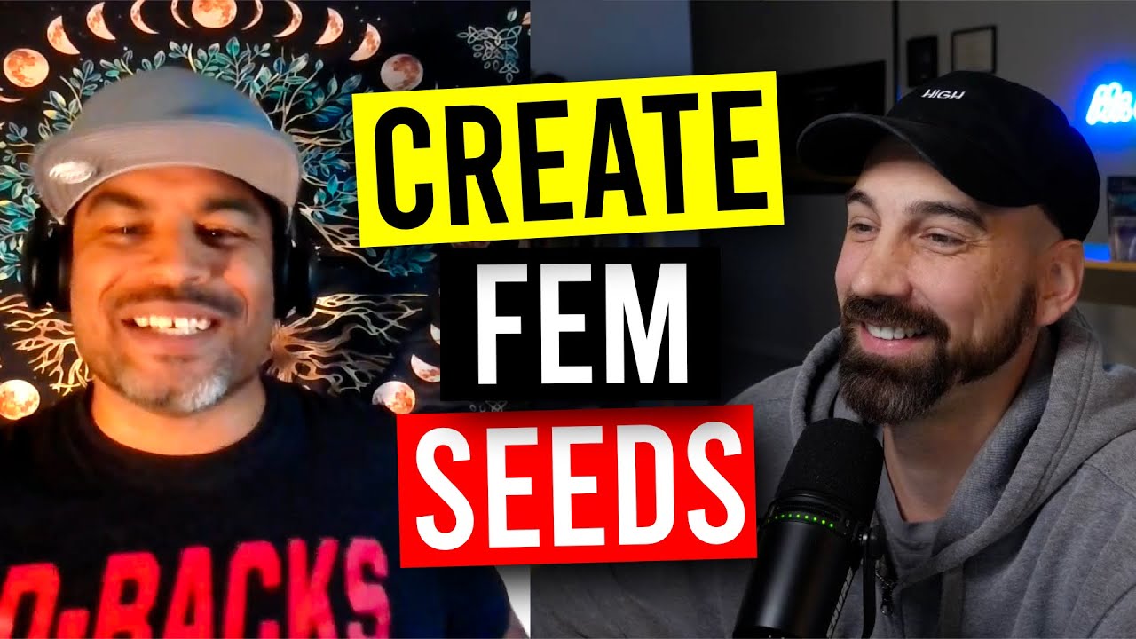 Plant Breeding: How To Create Feminized Seeds! (Garden Talk #157)