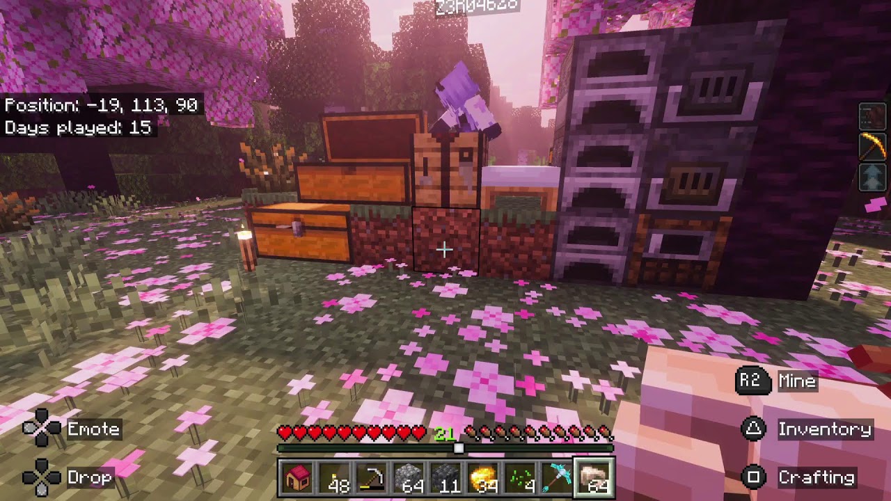Minecraft realm stream
