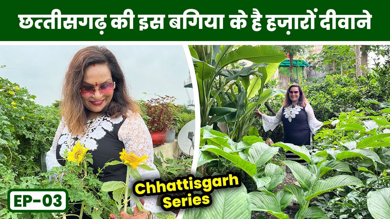 छित्तीसगढ़ की इस बगिया के है हज़ारों दीवाने 🤩 Chhatisgarh Garden Tour Part-03