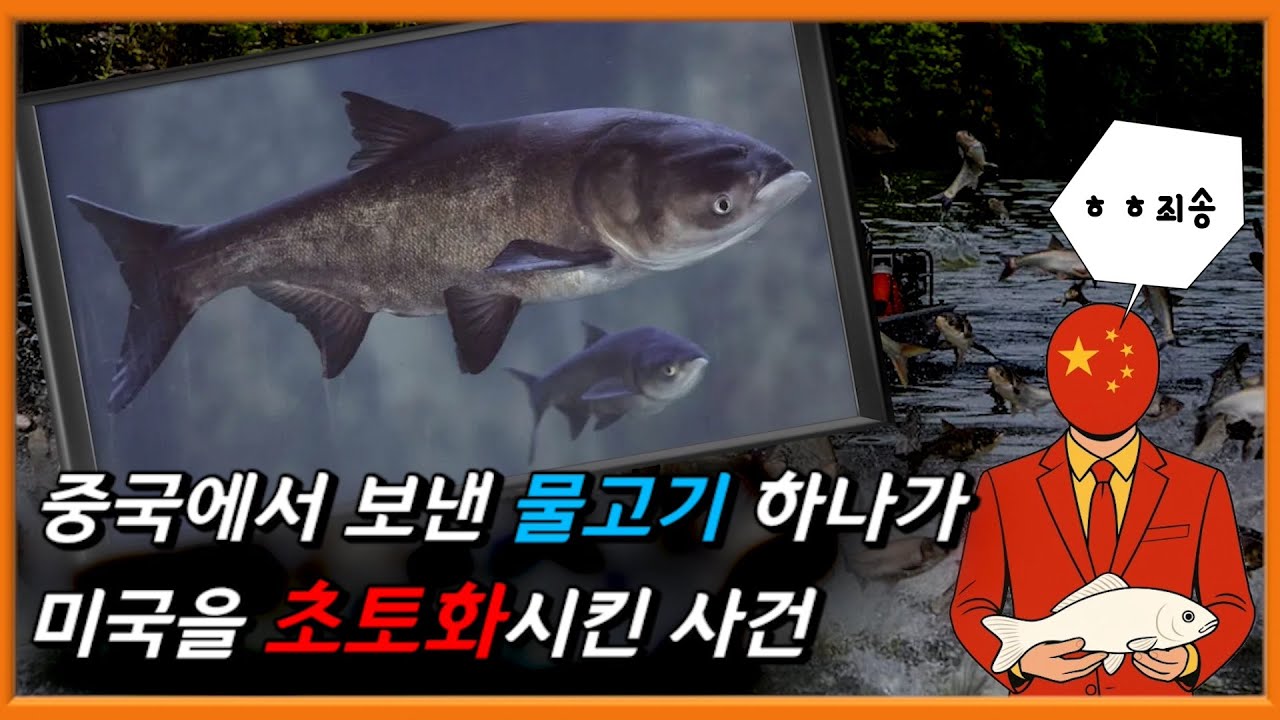 미국의 강을 파괴시켜버린 중국산 물고기