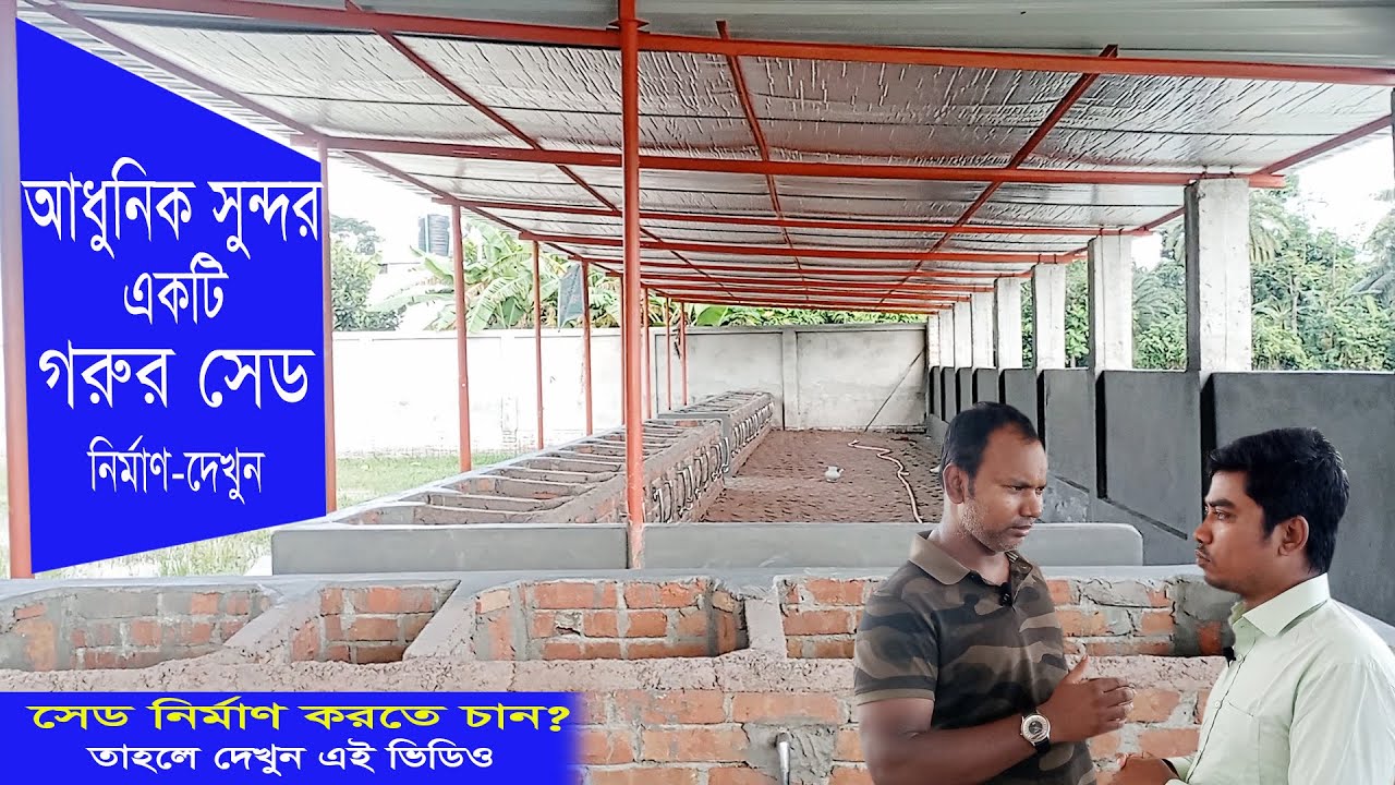 আধুনিক সুন্দর একটি গরুর সেড নির্মাণ এবং 30 টা গরুর একটি আধুনিক সেড নির্মানে কত টাকা খরচ দেখুন।
