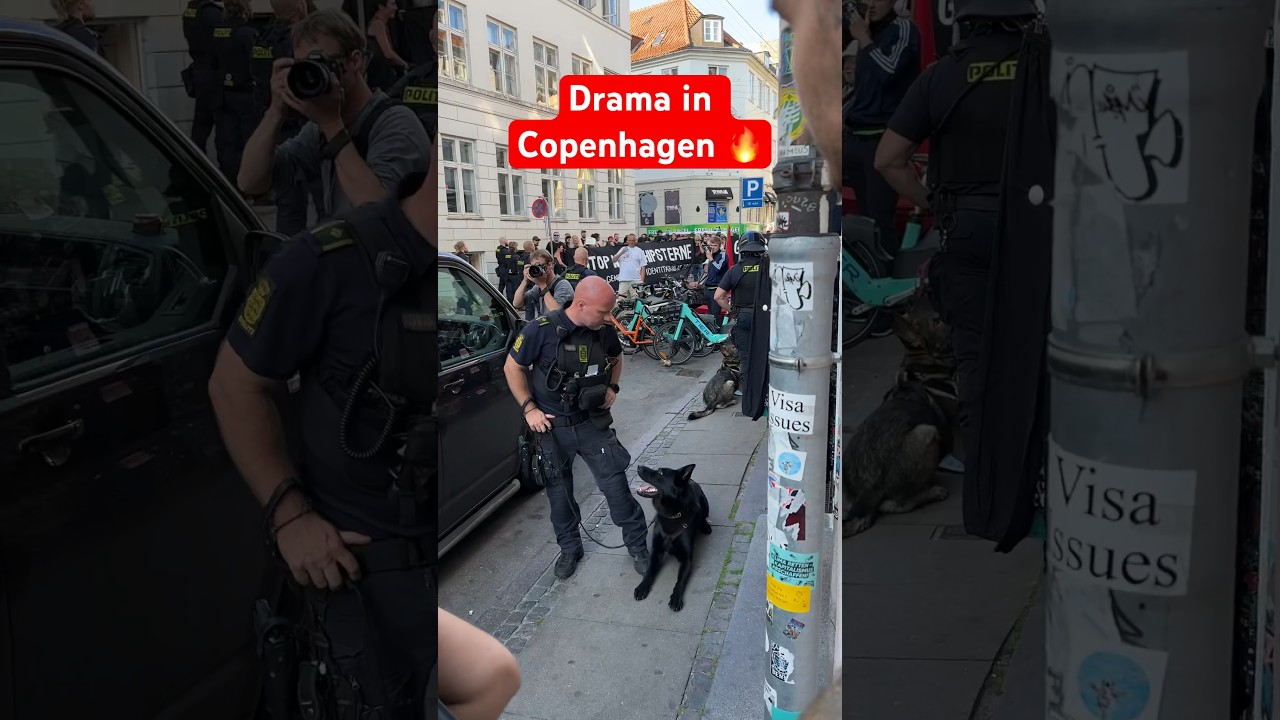 #antifascism #politi #police
