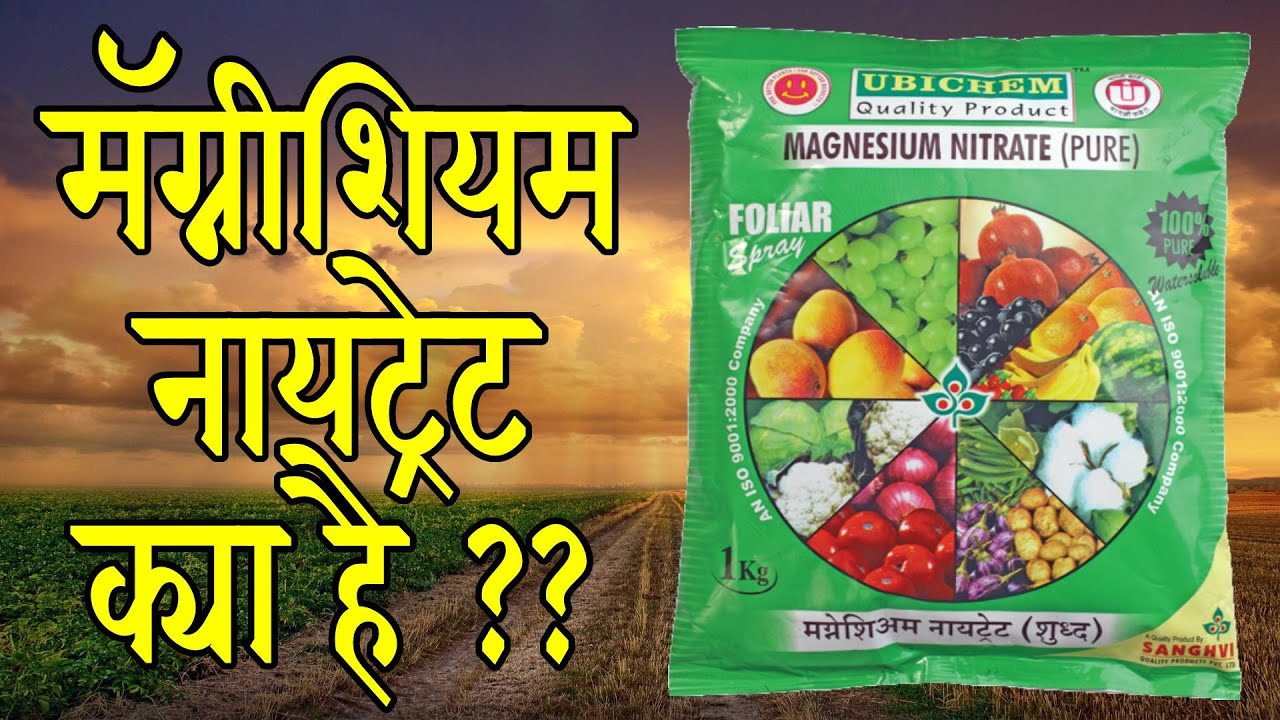 Magnesium Nitrate Fertilizer Use in Agriculture/magnesium nitrate
