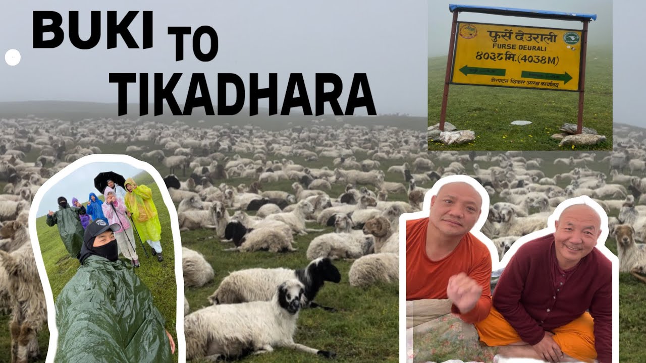 Dhorpatan tikadhara trek in moonsoon