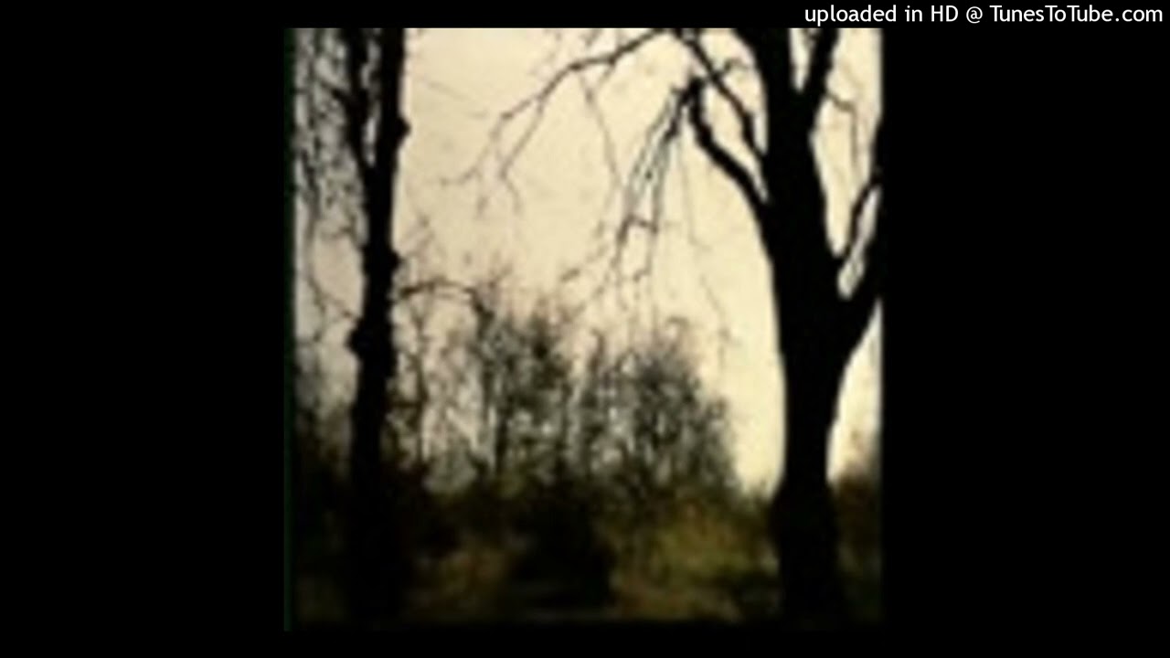 DJ DR4GM4SHROOM - BLACK BEATLES JUMPSTYLE REMIX