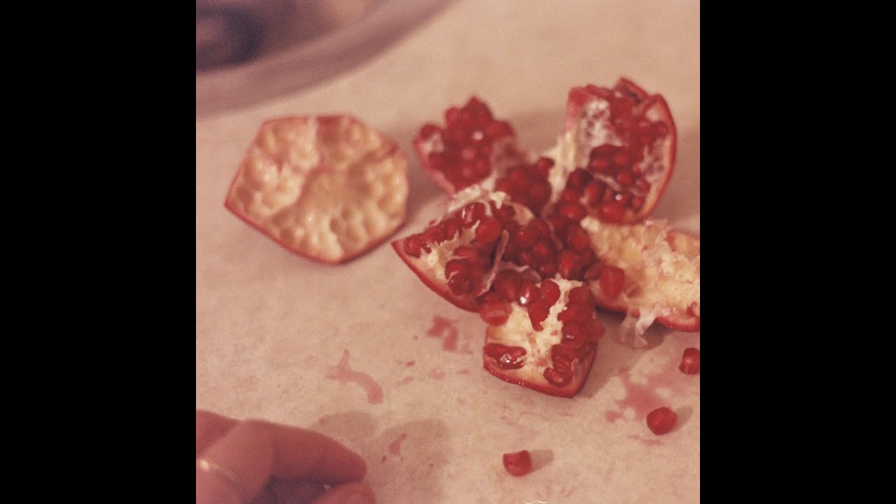 Ten Moon - Berry Picking (official video)