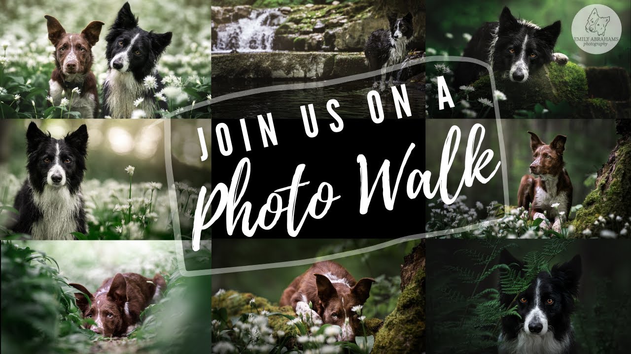 Join Us on a Photo Walk!