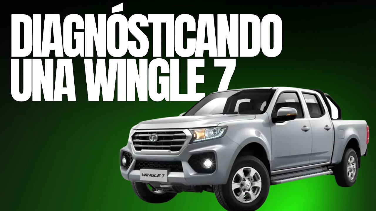 DIAGNOSTICANDO COMPLETO WINGLE 7 | Qué encontramos