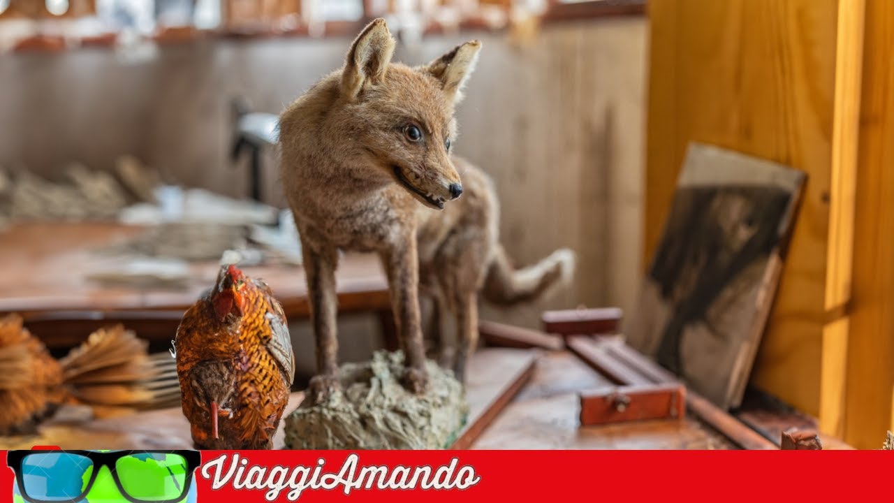 La villa della volpe (che non c'è più)