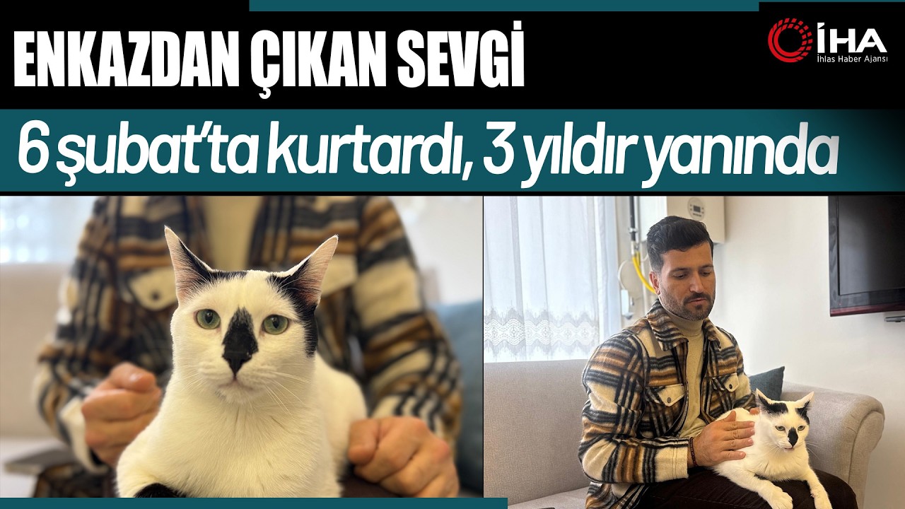 Enkazdan Kurtarılan Kediyle Travmayı Birlikte Aştılar