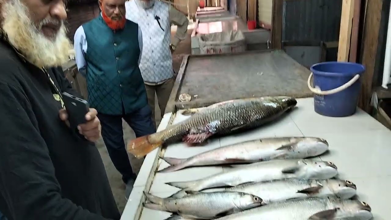 চলার পথে- কুয়াকাটা মাছ বাজার 