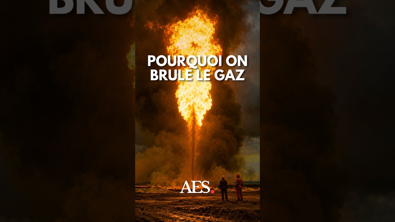 Pourquoi les compagnies p&eacute;troli&egrave;res br&ucirc;lent elles le gaz ?  #&eacute;conomie #&eacute;nergie #shorts