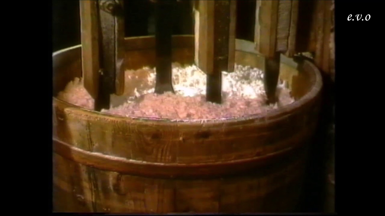 Papiermolen De Schoolmeester op TV in 1992.