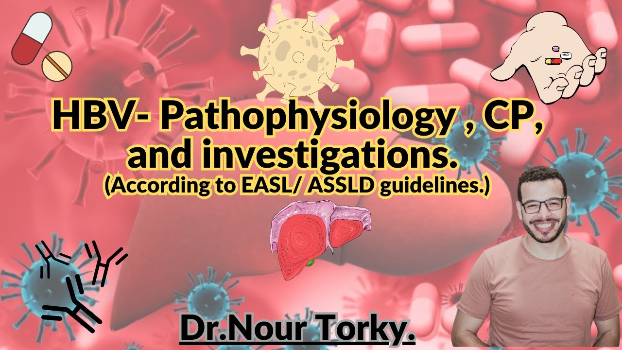 HBV I Pathophysiology, Clinical picture, and investigations.