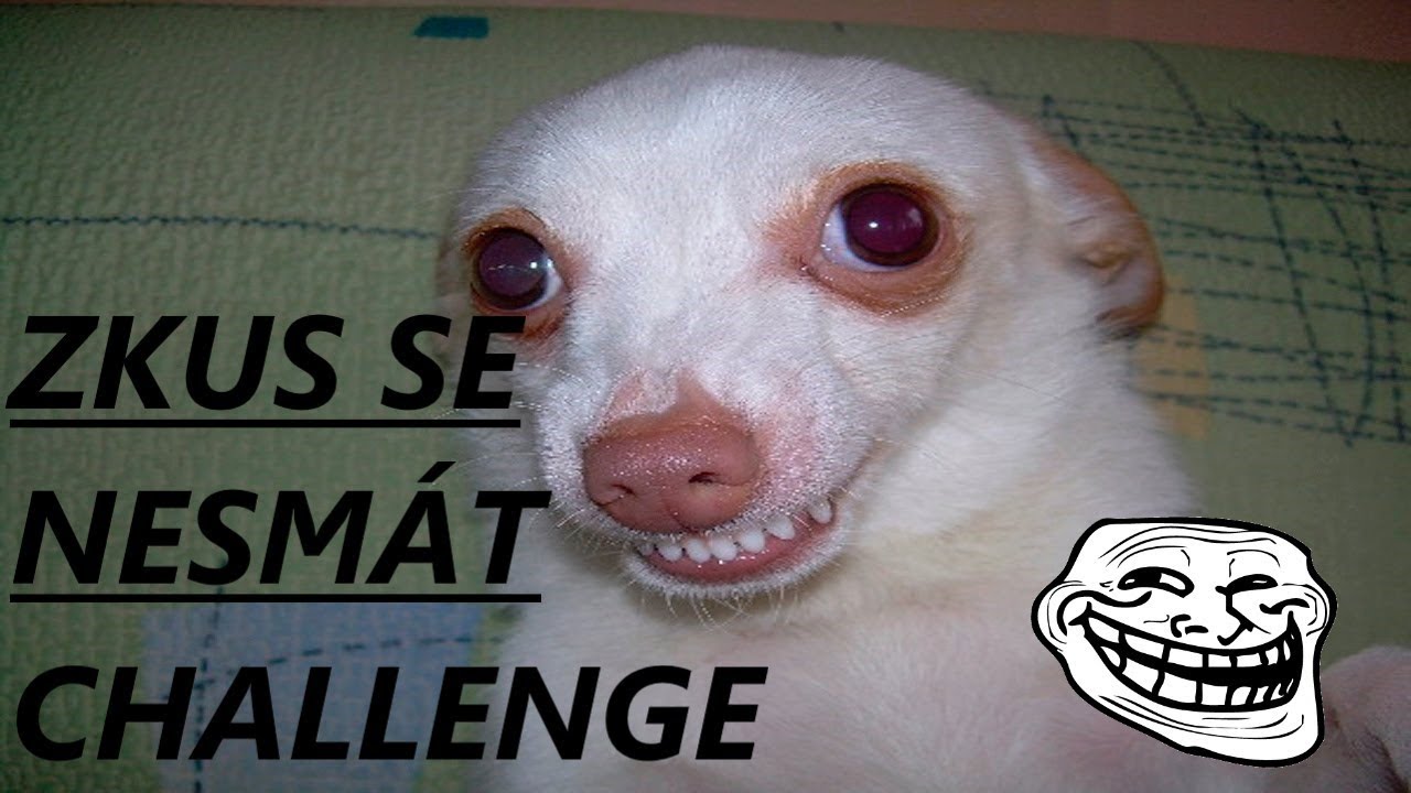 😃ZKUS SE NESM&Aacute;T CHALLENGE😃