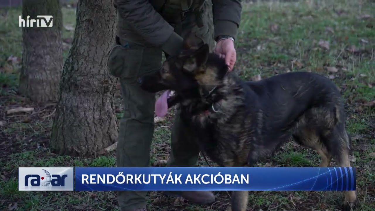 Radar – Rendőrkutyák akcióban - HÍR TV