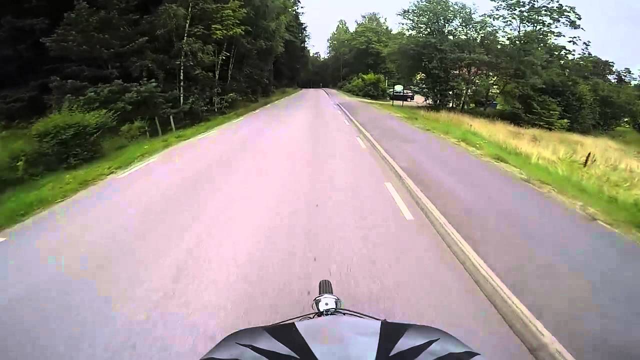 Mustang Cobra Athena 70cc