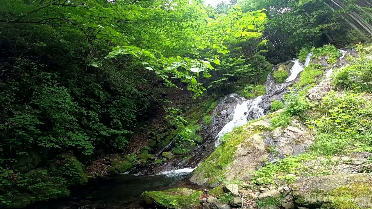 【530-10】【夢の滝】【東京都 檜原村】 【ブッチの3分タッキング】【202306】【1080ｐ60fps】【Japan waterfalls】